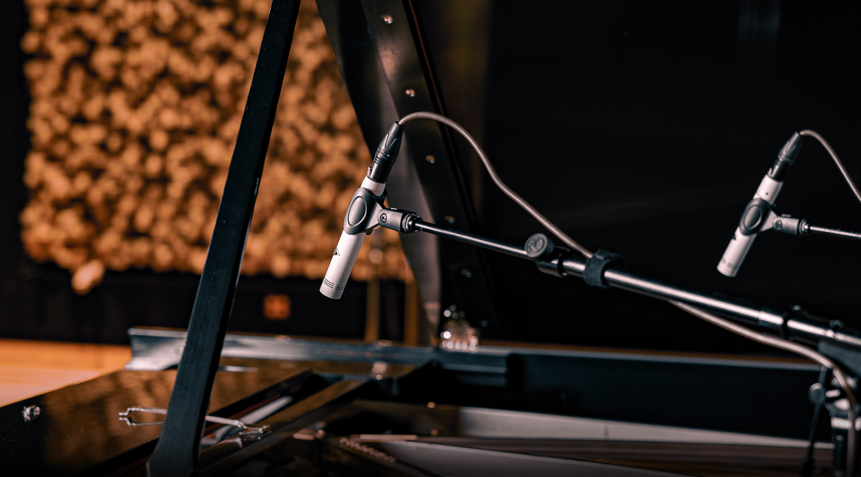Capture the details with impossible precision.